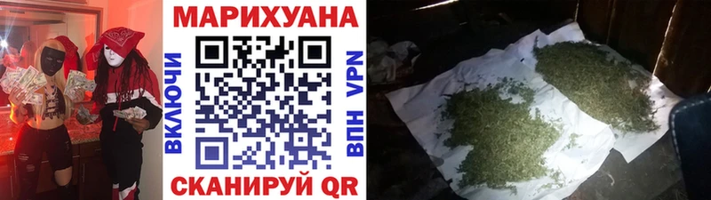 Шишки марихуана сатива  Купить закладки  Асино 